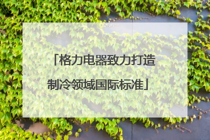 格力电器致力打造制冷领域国际标准
